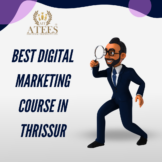 Best Digital Marketing Course in Thrissur