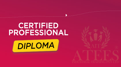 professional diploma
