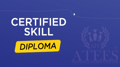 skill diploma