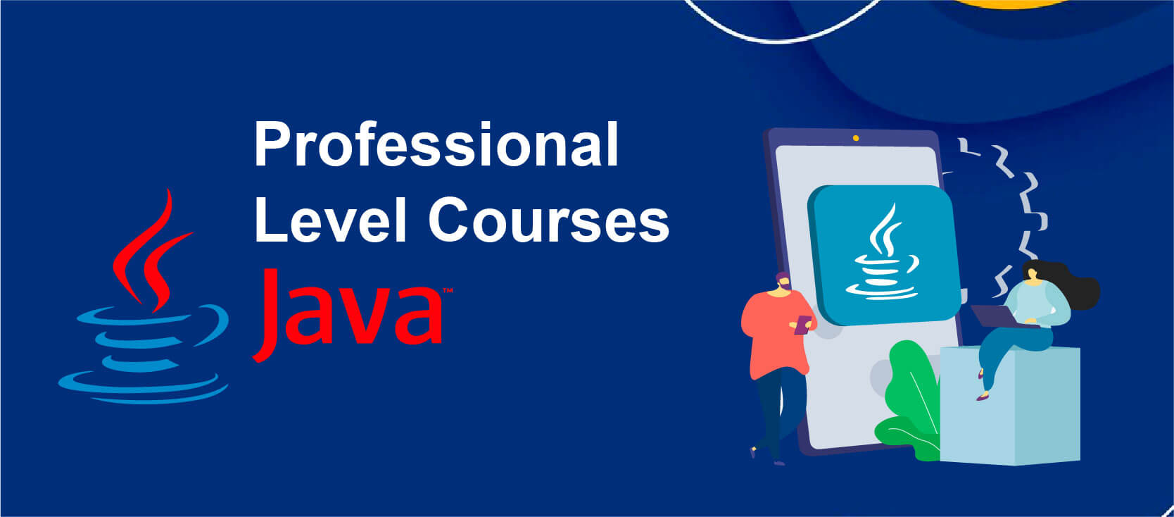 Professional Level Course in Java