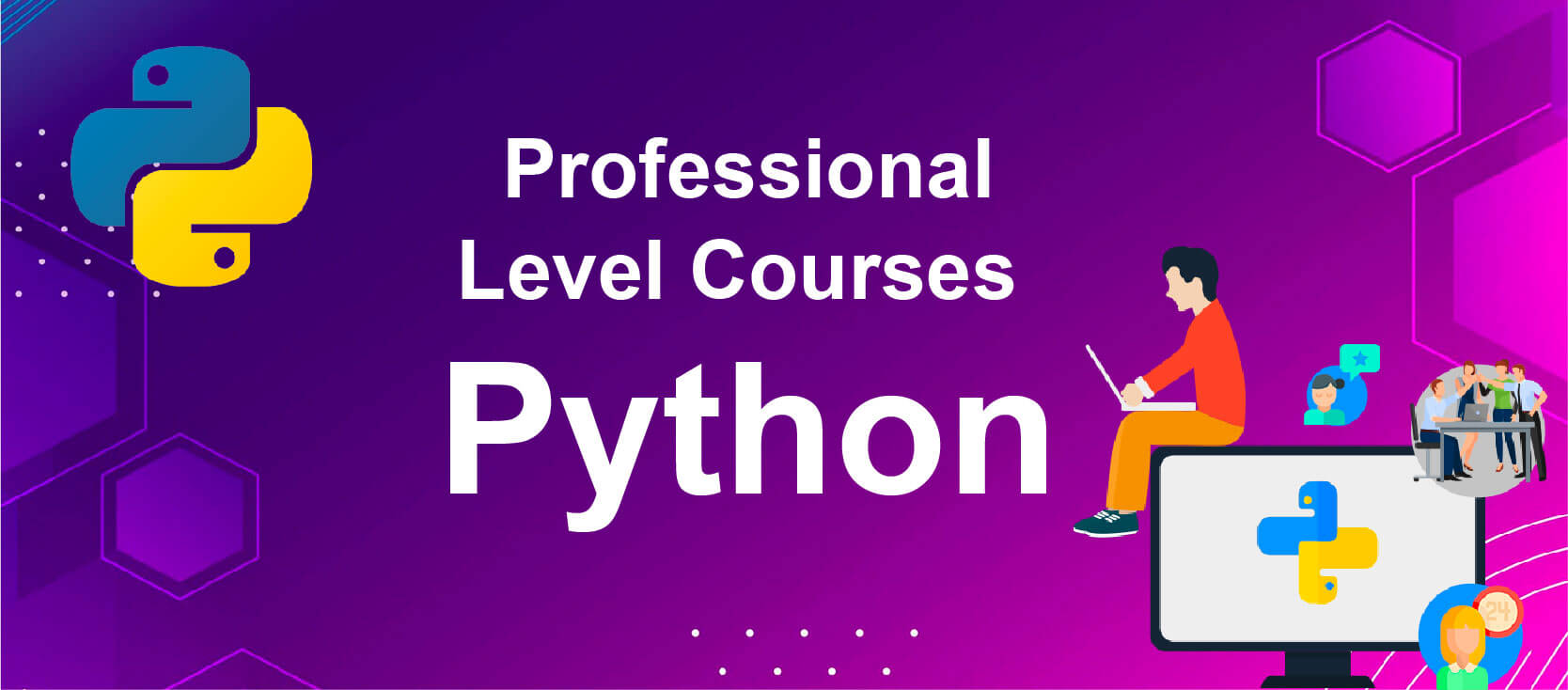 Professional Level Course in Python